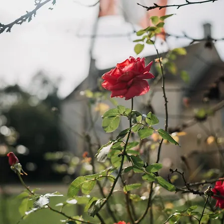 Le Clos Pelloquin Bed & Breakfast