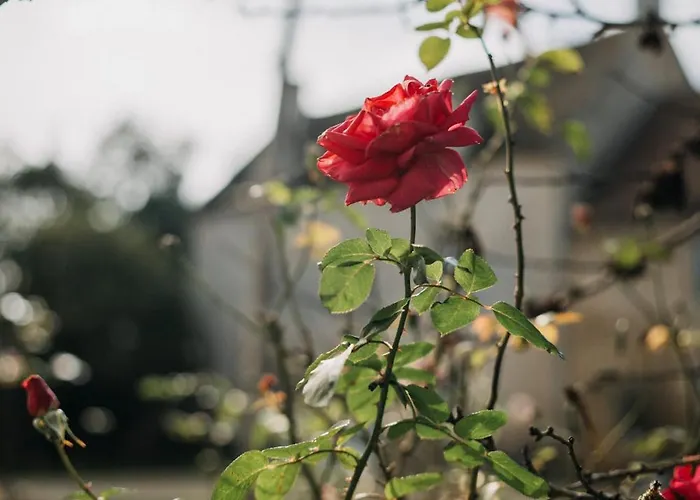 Le Clos Pelloquin Bed & Breakfast